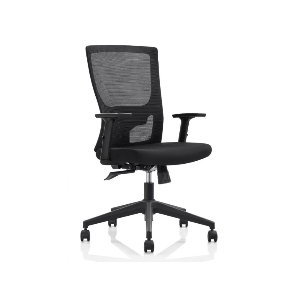 Diva (DZ45) Ergonomic Chair
