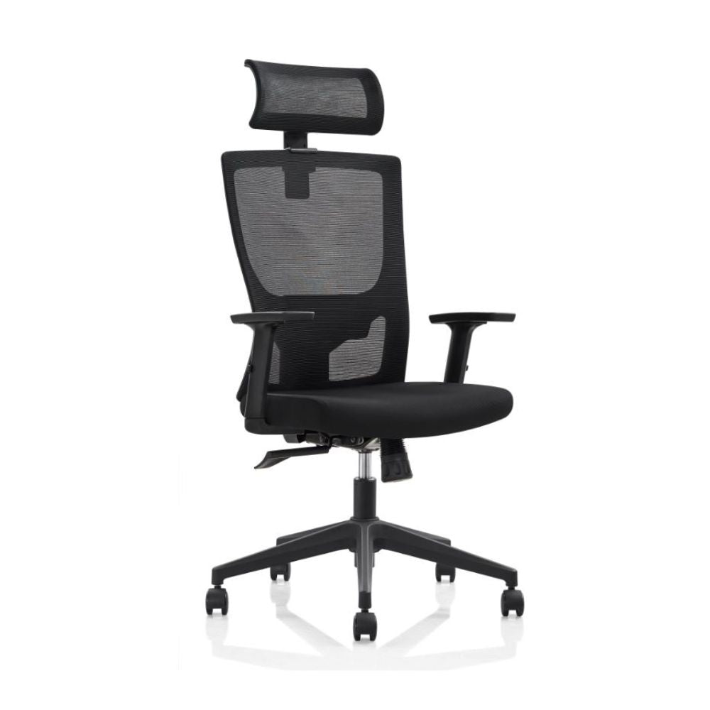 Diva (DZ45) Ergonomic Chair