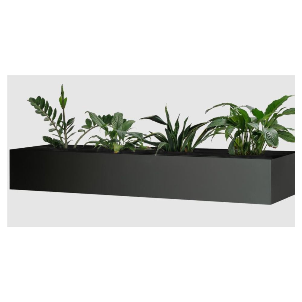 Planter Box for Perforated Cupboard or Lateral Filing Cabinet