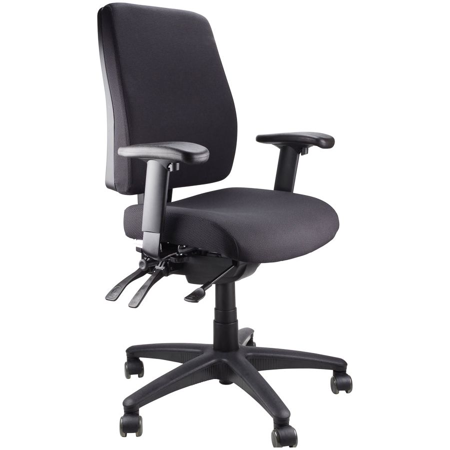 Ergoform Task Chair