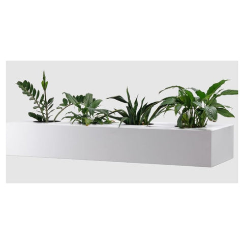 Planter Box for Perforated Cupboard or Lateral Filing Cabinet