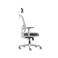 LOTTO Medium Back Mesh Chair