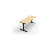 Boost Plus Electric Height Adjustable Desk