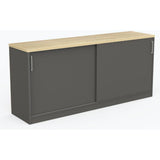 Ekosystem Sliding Door Cupboard