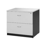 Logan 2 Drawer Lateral File