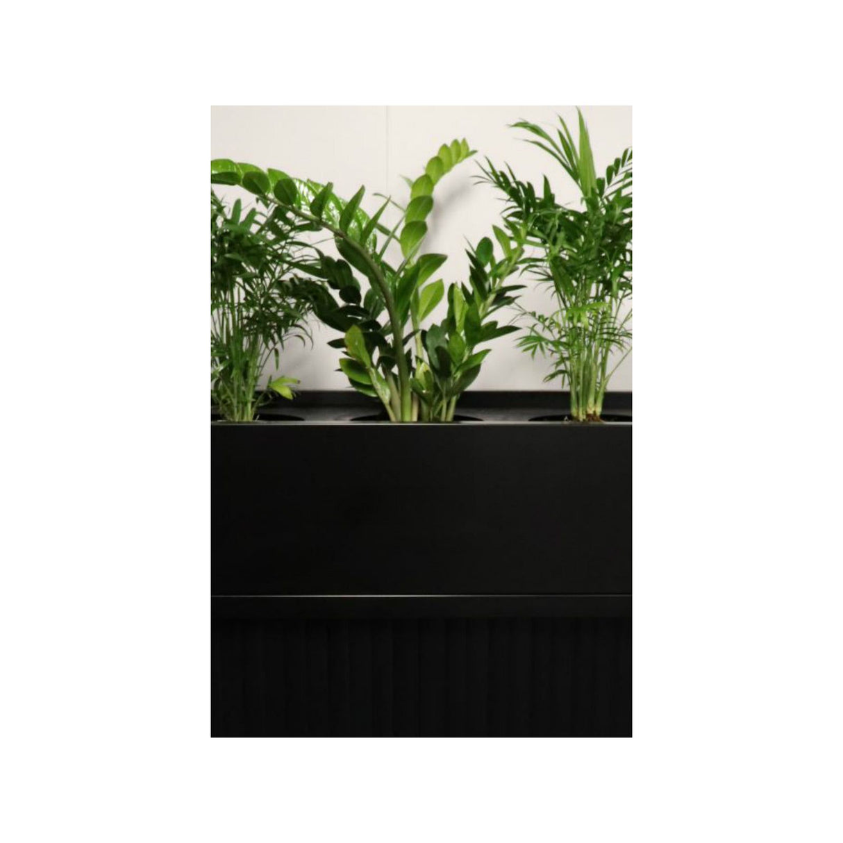 GO Planter Box
