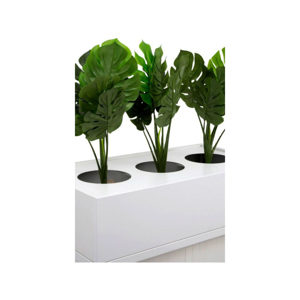 GO Planter Box
