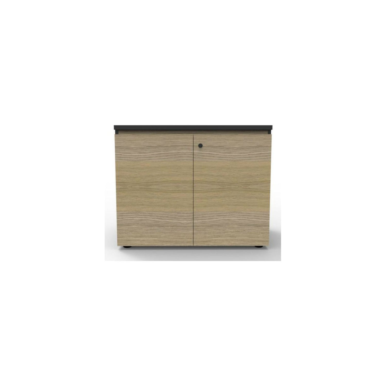 Infinity Swing Door Cupboard